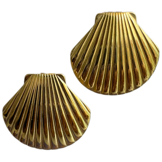Seashells